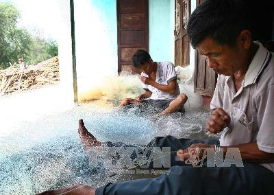 Ngư dân Quảng Trị được mùa ruốc biển ảnh 1